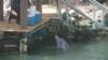 dsc08757_small.jpg