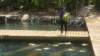 dsc08839_small.jpg