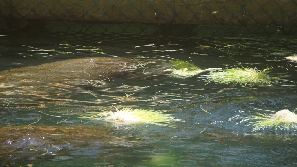 dsc08843.jpg