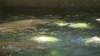 dsc08843_small.jpg