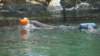 dsc08872_small.jpg