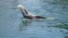 dsc08874_small.jpg
