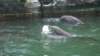 dsc08891_small.jpg