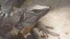 dsc08943_small.jpg
