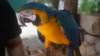 dsc09048_small.jpg