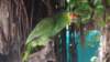 dsc09058_small.jpg