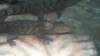 dsc09076_small.jpg