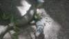 dsc09093_small.jpg