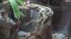 dsc09099_small.jpg