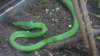 dsc09101_small.jpg