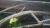 dsc09108_small.jpg