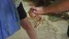 dsc09112_small.jpg