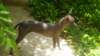 dsc09119_small.jpg