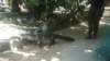 dsc09134_small.jpg
