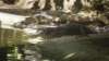 dsc09145_small.jpg