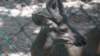 dsc09160_small.jpg