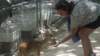 dsc09177_small.jpg
