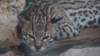 dsc09190_small.jpg