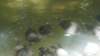 dsc09203_small.jpg