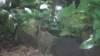 dsc09211_small.jpg