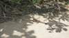 dsc09234_small.jpg