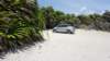 dsc09237_small.jpg
