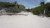 dsc09239_small.jpg