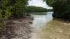 dsc09255_small.jpg