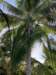 img_4476_small.jpg